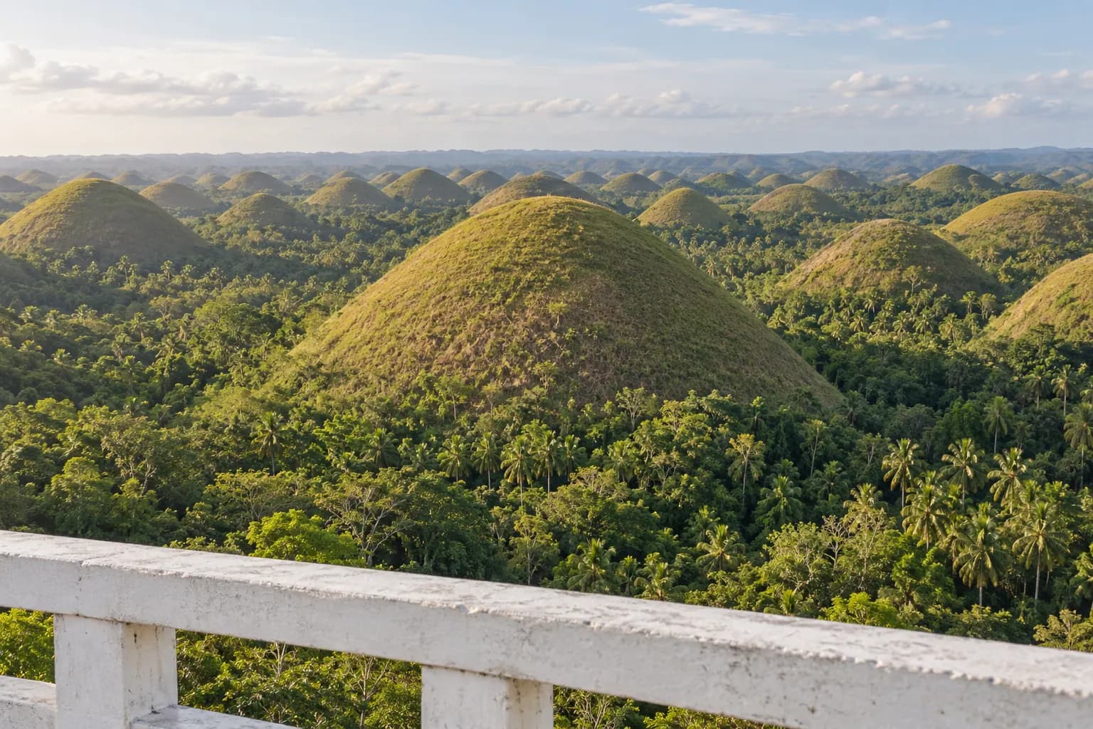 The Chocolate Hills seen from the viewing deck, late afternoon